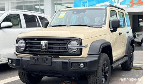 国产精品300,匠心独运，品质卓越的匠心之作