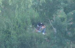 国产树林野战在线播放